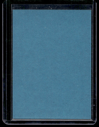 2009-10 O-Pee-Chee - Retro Blank Backs - Jere Lehtinen #331