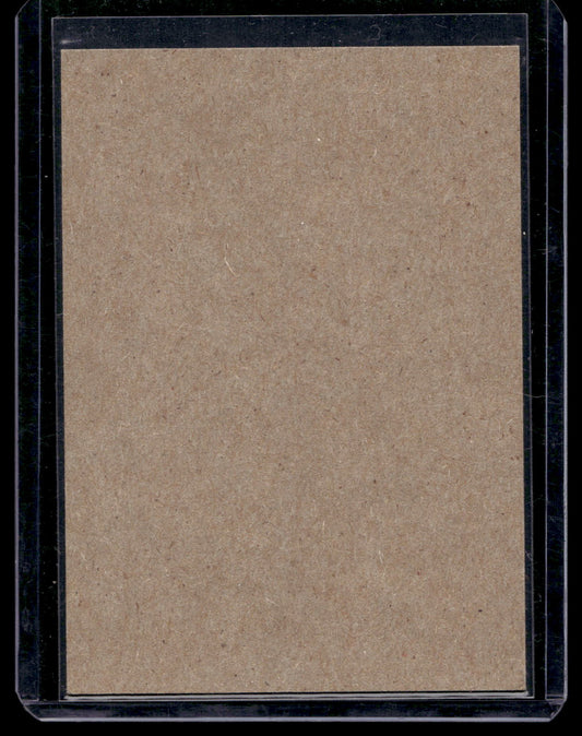 2013-14 O-Pee-Chee - Retro Blank Backs - Saku Koivu #176