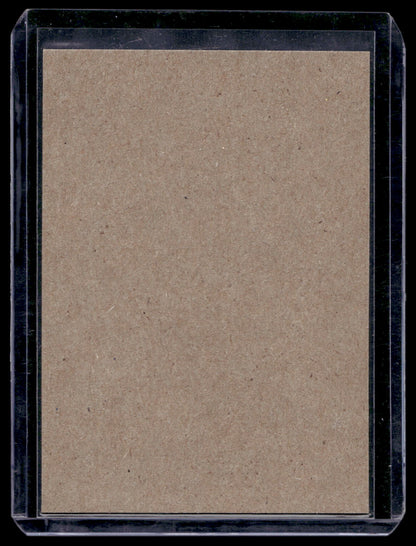 2013-14 O-Pee-Chee - Retro Blank Backs - Ville Leino #417