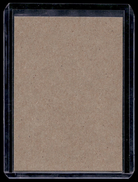 2013-14 O-Pee-Chee - Retro Blank Backs - Ville Leino #417