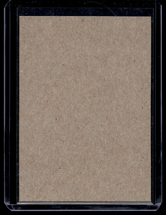 2014-15 O-Pee-Chee - Retro Blank Back -  Teemu Selanne #2