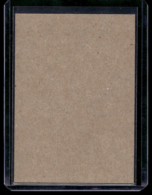 2013-14 O-Pee-Chee - Retro Blank Backs - Sami Salo #381