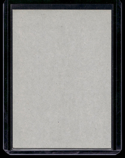 2011-12 O-Pee-Chee - Retro Blank Backs - Sami Salo #187