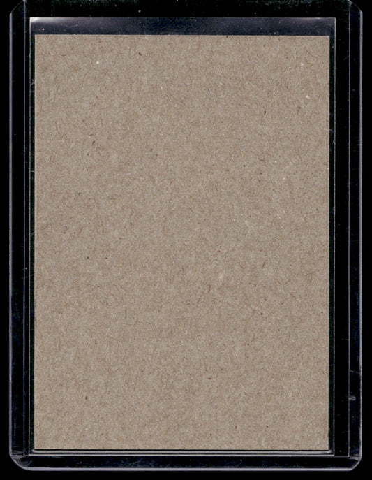 2016-17 O-Pee-Chee - Retro Blank Backs - Karri Ramo #262