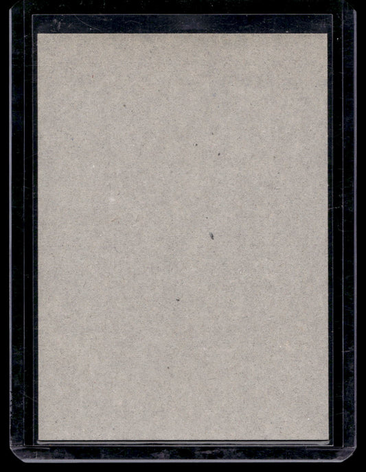2010-11 O-Pee-Chee - Retro Blank Backs - Antero Niittymaki #473