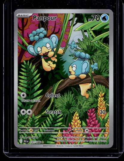 2025 Pokemon - Scarlet & Violet - Black Bolt - Illustration Rare - Panpour #101