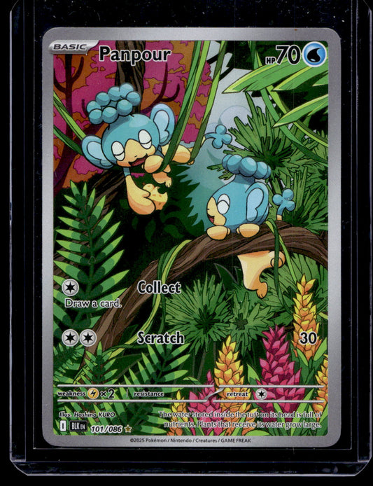2025 Pokemon - Scarlet & Violet - Black Bolt - Illustration Rare - Panpour #101