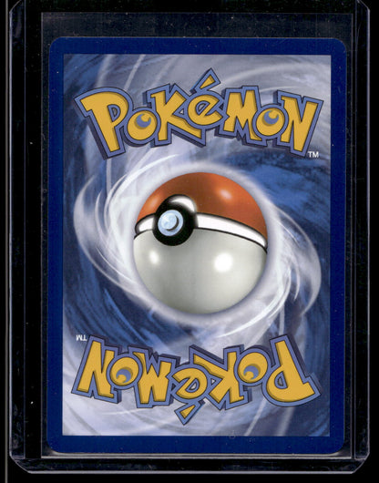 2025 Pokemon - Scarlet & Violet Journey Together - Illustration Rare - Wailord #162